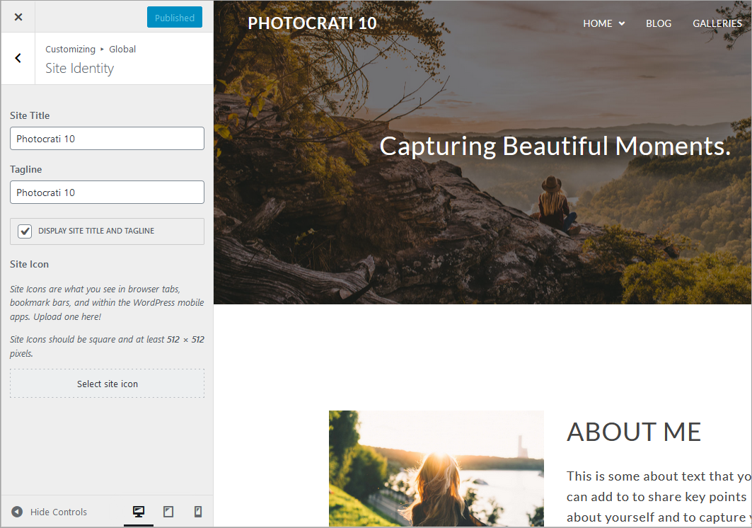 site identity button