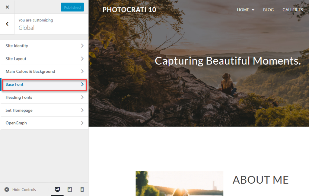 Font settings in Global customization, Photocrati 10